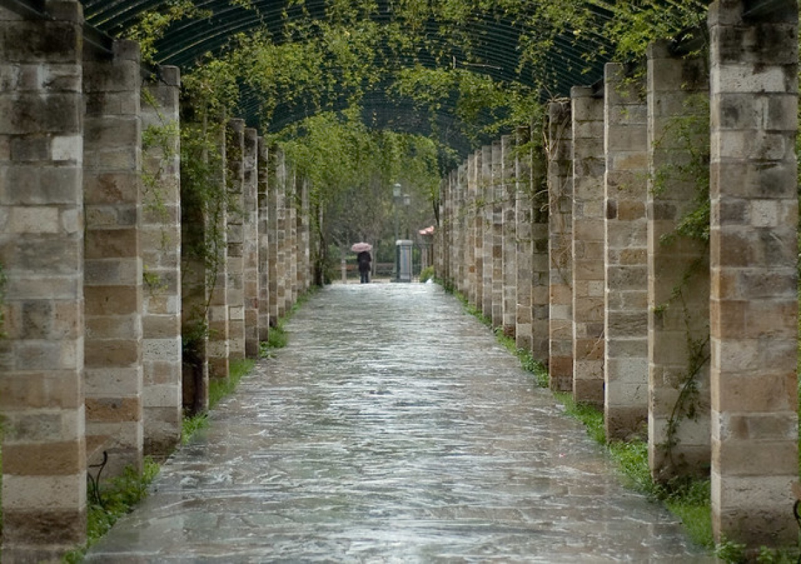 Rainy Arbor in the National Gardens Crop 1